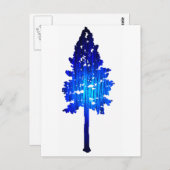 Colorado Blue Spruce Postkarte (Vorne/Hinten)