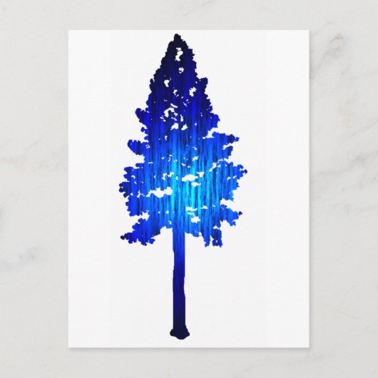 Colorado Blue Spruce Postkarte (Vorderseite)