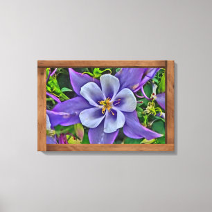 Colorado Blume Leinwand Kunst
