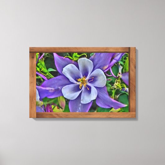 Colorado Blume Leinwand Kunst (Vorderseite)