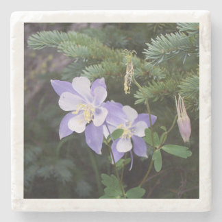 Colorado Columbine 4"x4" Untersetzer aus Marmor