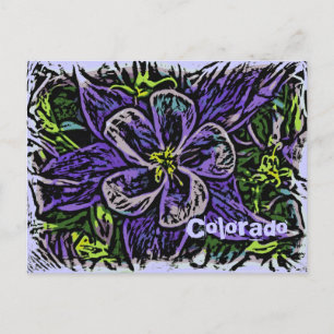 Colorado Columbine Deko Postcard Postkarte