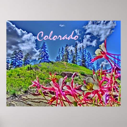 Colorado Columbine landschaftlich Poster (Vorne)