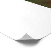 Colorado Columbine Poster (Ecke)