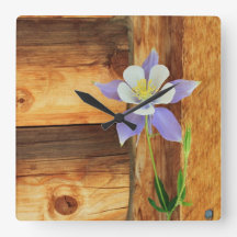 Colorado Columbine und Holz