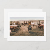 Colorado Cowboy 1904 Postkarte (Vorne/Hinten)