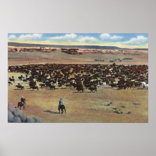 Colorado - Cowboys Rounding Poster (Vorne)