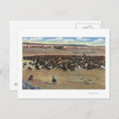 Colorado - Cowboys Rounding Postkarte (Vorne/Hinten)