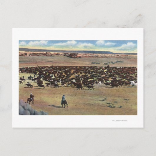 Colorado - Cowboys Rounding Postkarte (Vorderseite)
