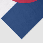 Colorado: Die hundertjährige US-Staatsflagge Seidenpapier (Detail)