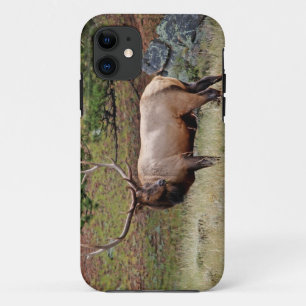 Colorado-Elche iPhone 5 Case-Mate kaum dort Hülle