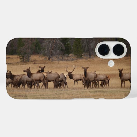 Colorado Elk Phone Case (Rückseite (Horizontal))