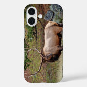 Colorado Elk Phone Case (Rückseite)