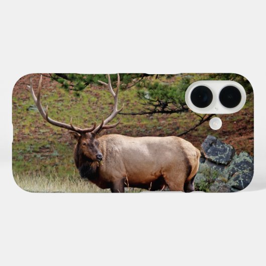 Colorado Elk Phone Case (Rückseite (Horizontal))