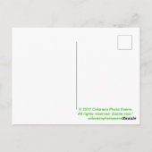 Colorado Elk Postkarte (Rückseite)