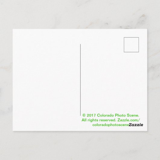 Colorado Elk Postkarte (Rückseite)