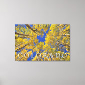 Colorado Fall | Aspenwald im Herbst Leinwanddruck (Vorderseite)