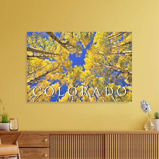 Colorado Fall | Aspenwald im Herbst Leinwanddruck (Insitu (Wohnzimmer))