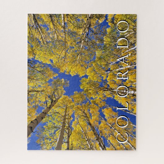 Colorado Fall | Aspenwald im Herbst Puzzle (Vertikal)