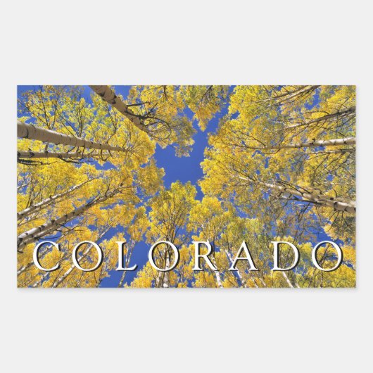 Colorado Fall | Aspenwald im Herbst Rechteckiger Aufkleber (Vorderseite)