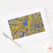 Colorado Fall | Aspenwald im Herbst Rechteckiger Aufkleber (Umschlag)