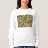 Colorado Fall | Aspenwald im Herbst Sweatshirt (Vorderseite)