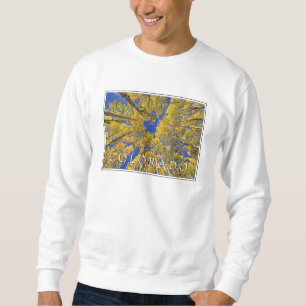 Colorado Fall Aspenwald im Herbst Sweatshirt