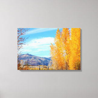 Colorado Fall Vista Wrapped Canvas Leinwanddruck