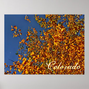 Colorado fallendes Poster