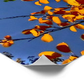 Colorado fallendes Poster (Ecke)