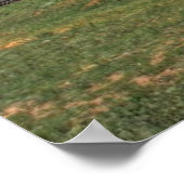 Colorado Farm Poster (Ecke)