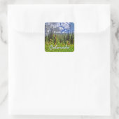 Colorado Federkleber Quadratischer Aufkleber (Tasche)