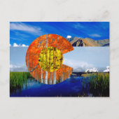 Colorado Flag Postkarte (Vorderseite)