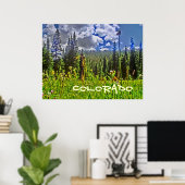 Colorado Forst landschaftliches Plakat (Heimbüro)