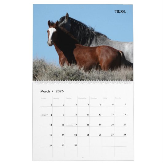 Colorado Foster to Adopt Calendar Kalender (Mär 2026)