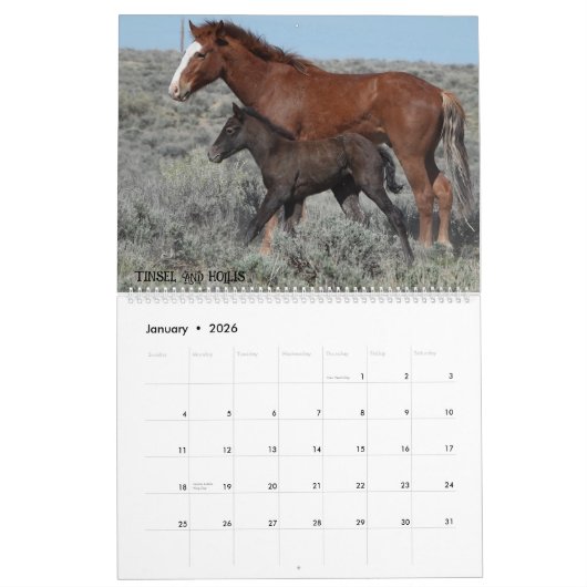 Colorado Foster to Adopt Calendar Kalender (Jan 2026)