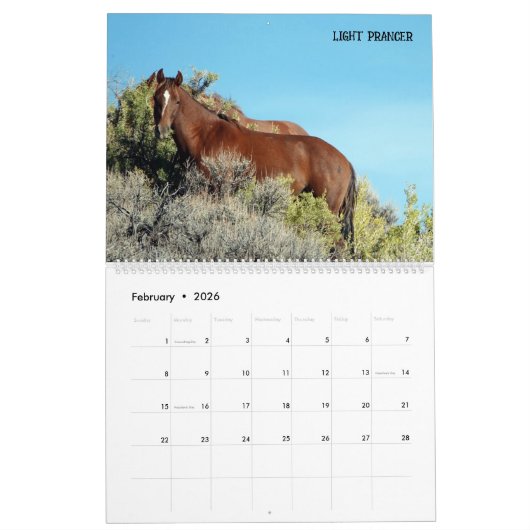 Colorado Foster to Adopt Calendar Kalender (Feb 2026)
