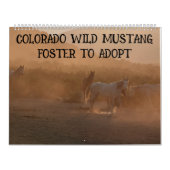 Colorado Foster to Adopt Calendar Kalender (Titelbild)