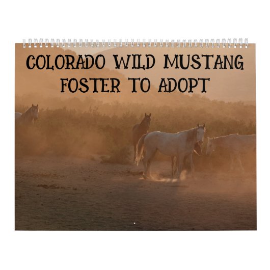 Colorado Foster to Adopt Calendar Kalender (Titelbild)