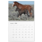 Colorado Foster to Adopt Calendar Kalender (Jan 2026)