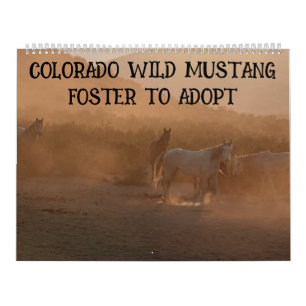 Colorado Foster to Adopt Kalender
