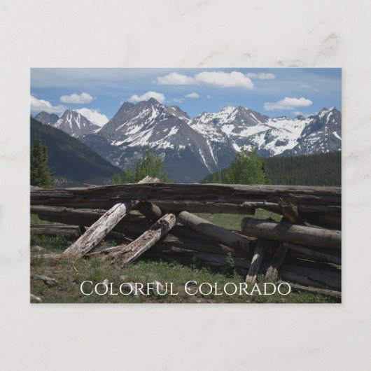 Colorado Frische Pasta machen Postkarte (Vorderseite)