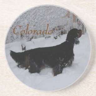 Colorado Gordon Setter im Untersetzer Snowstorm
