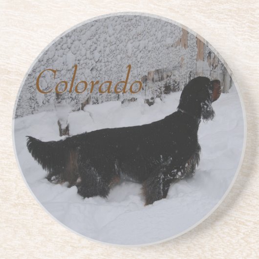 Colorado Gordon Setter im Untersetzer Snowstorm (Vorne)