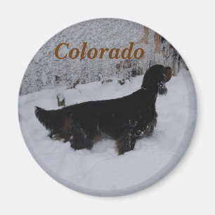 Colorado Gordon Setter Magnet