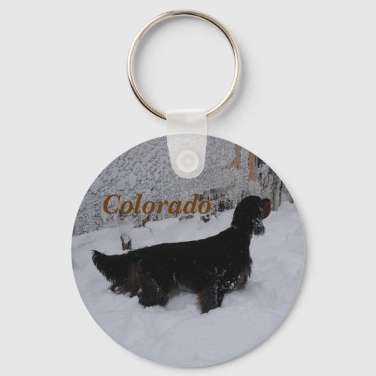 Colorado Gordon Setter Schlüsselanhänger (Vorderseite)