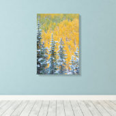 Colorado, Grand Mesa. Früher Schneefall im Wald Leinwanddruck (Insitu (Holzboden))