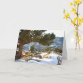 Colorado-Grüße Karte (Gelbe Blume)