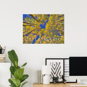 Colorado Herbst Espenwald im Herbst Poster
