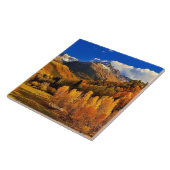 Colorado Herbst Fliese (Seite)